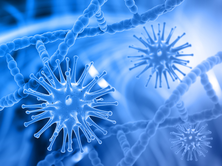 Ученые нашли бактерию для борьбы с раком: проведено исследование