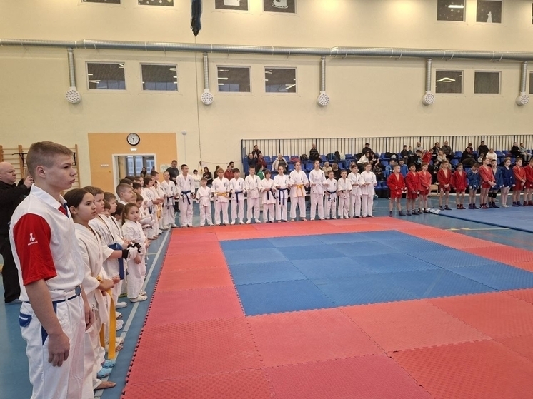 Фестиваль единоборств по тхэквондо, самбо и каратэ (киокусинкай) состоялся в школе № 55 Петрозаводска