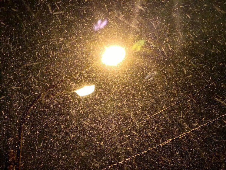 На Юрьевском шоссе в Великом Новгороде до 15 января погасли фонари