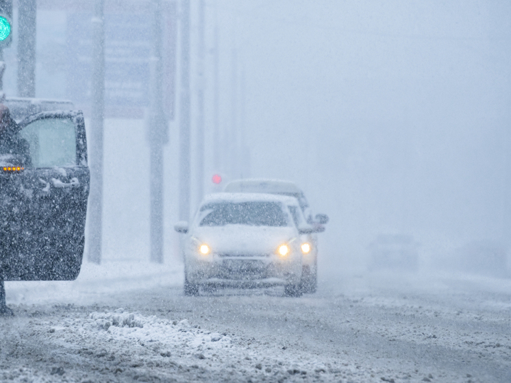 Полицейские под Волгоградом спасли подростка и его родственника, заблудившихся в снежном буране