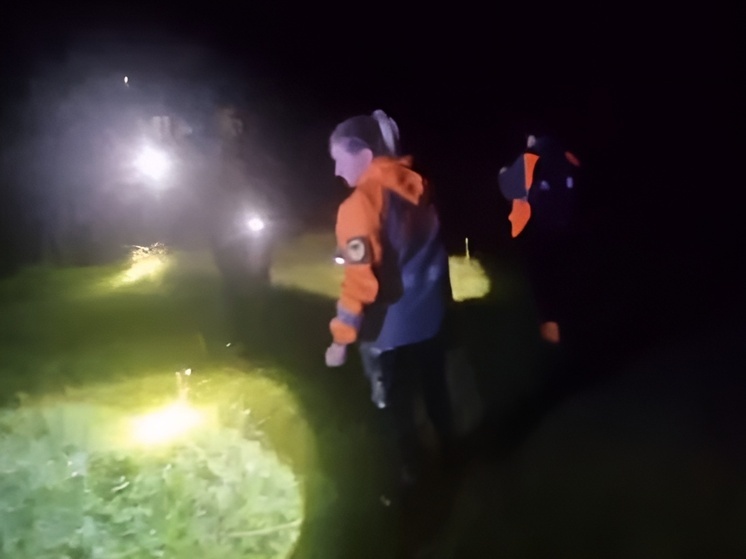 В Воронеже нашли живой пропавшую 15-летняю школьницу