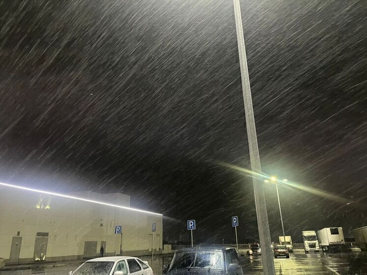 Курянам пообещали снег и туман 29 декабря