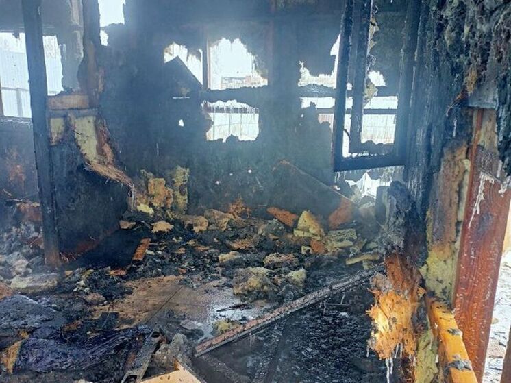 Приют для собак «Жизнь» горел в Нижнеудинске