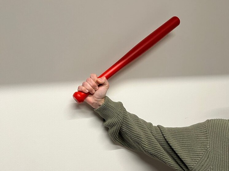 В Петербурге задержали двоих участников массовой драки в кафе на Пейзажной улице