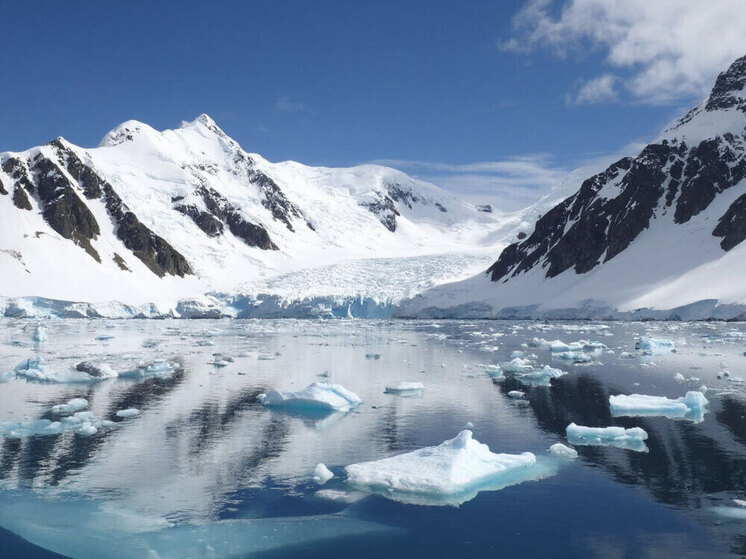 Туристы увидели, как в Антарктиде три косатки преследуют пингвина