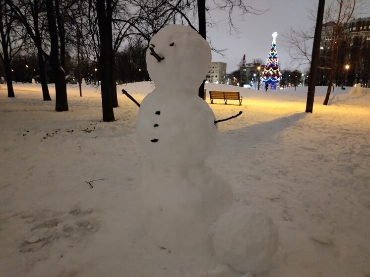 В Северной столице к Новому году выпадет почти 7 сантиметров снега