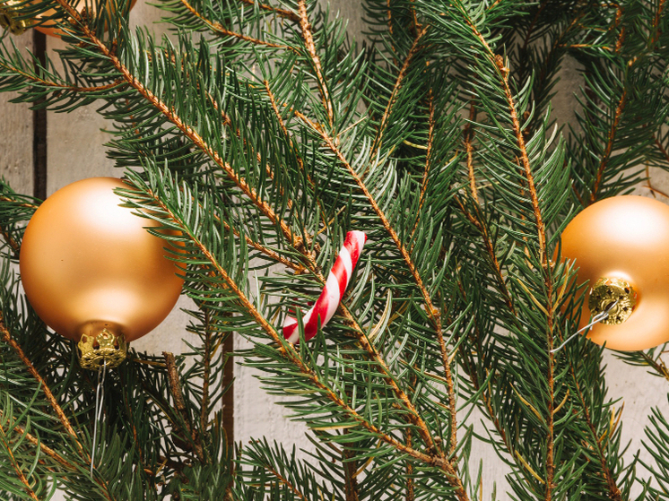 Искры в хвое: три скрытые опасности живой ёлки, о которых стоит помнить тамбовчанам