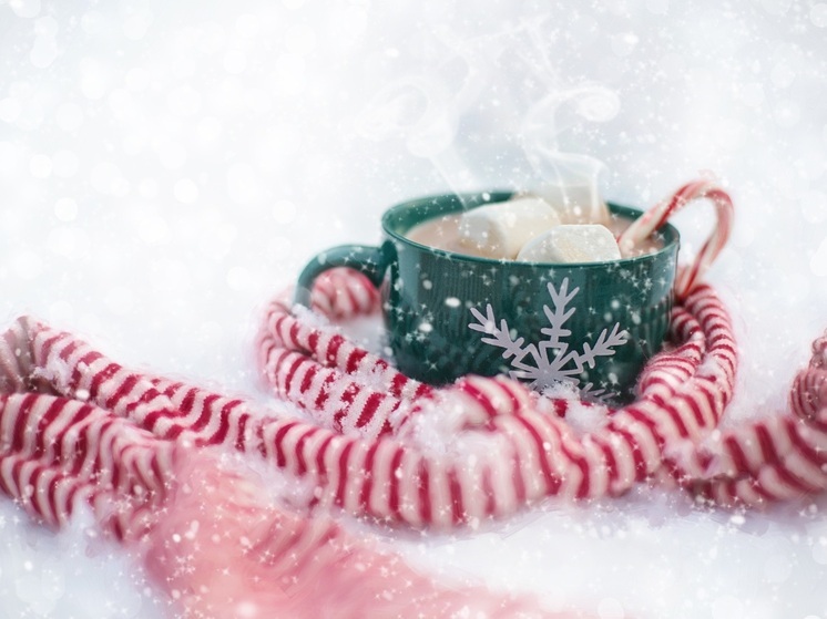 Воронежцам рассказали, как защититься от обморожений в морозы