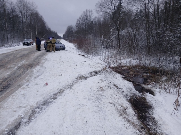 Новгородские спасатели семь раз за сутки выезжали вытаскивать машины из кювета