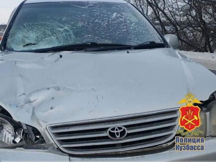 Жизнь женщины оборвалась на пешеходном переходе в Кузбассе