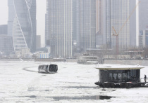 Двадцать девятое декабря в народном календаре носит имя Агеева дня или Аггея Зимоуказателя. Это время, когда наши предки не только готовились к грядущим праздникам, но и внимательно следили за традициями и запретами, чтобы не навлечь на семью раздор и финансовые трудности.

