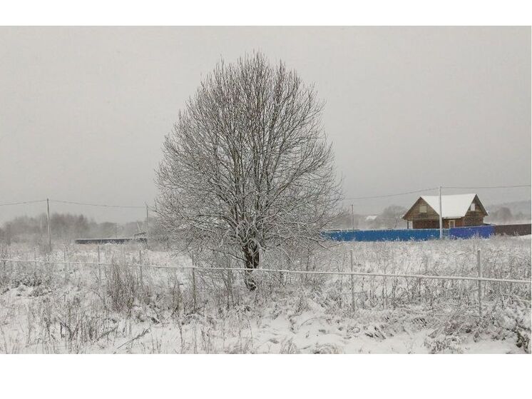 Синоптики 29 декабря прогнозируют в Смоленске пасмурную погоду