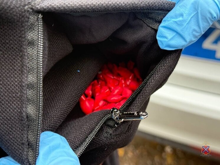 В Волгоградской области иностранца подозревают в попытке сбыта наркотиков