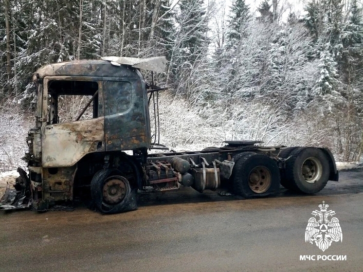 В Холм-Жирковском районе на дороге сгорела фура