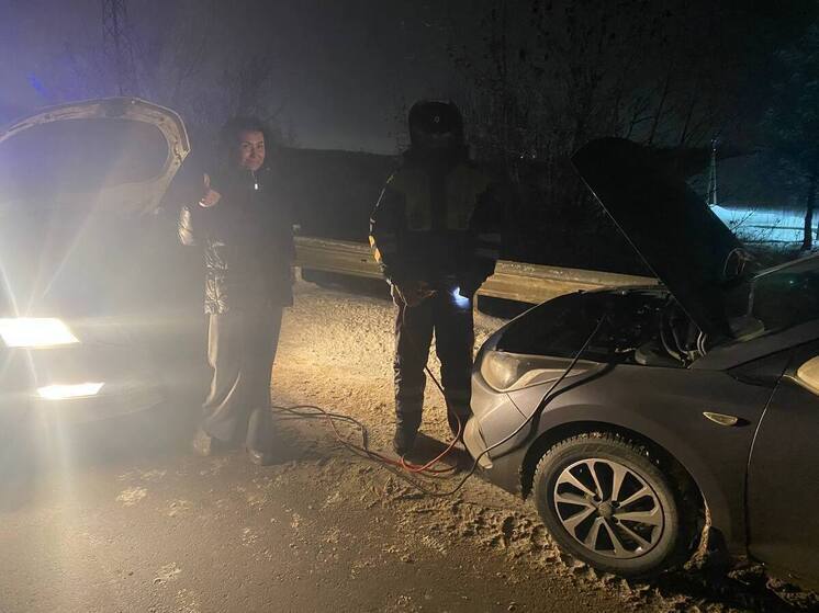 В Пензенской области сотрудники ГАИ пришли на помощь авто-леди