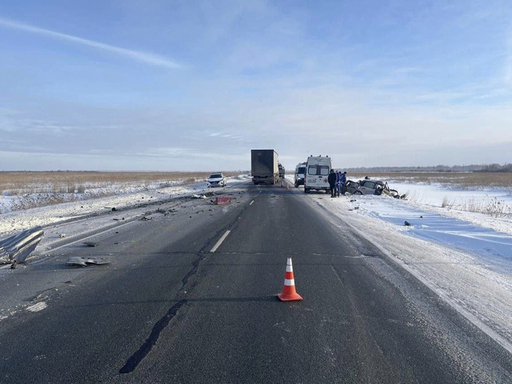 Пьяный водитель стал виновником смертельного ДТП на трассе под Новосибирском
