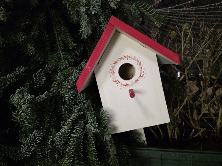 Более 250 ёлочных базаров открыто на Кубани