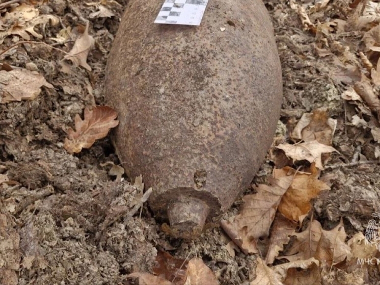 Две авиабомбы времен ВОВ обезвредили донские пиротехники