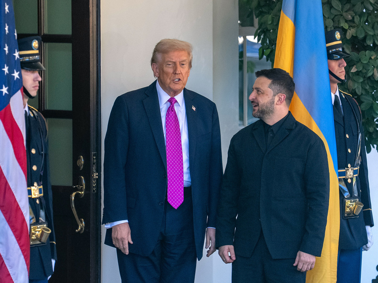 Reuters: сегодня Трамп и  Зеленский обсудят судьбу Донбасса и Запорожской АЭС