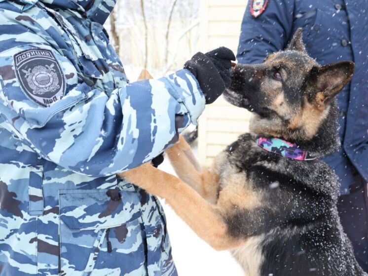 В Пензе поздравили с наступающим Новым Годом сотрудников и питомцев кинологического центра