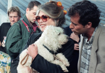 Еще одна потеря в мире кино