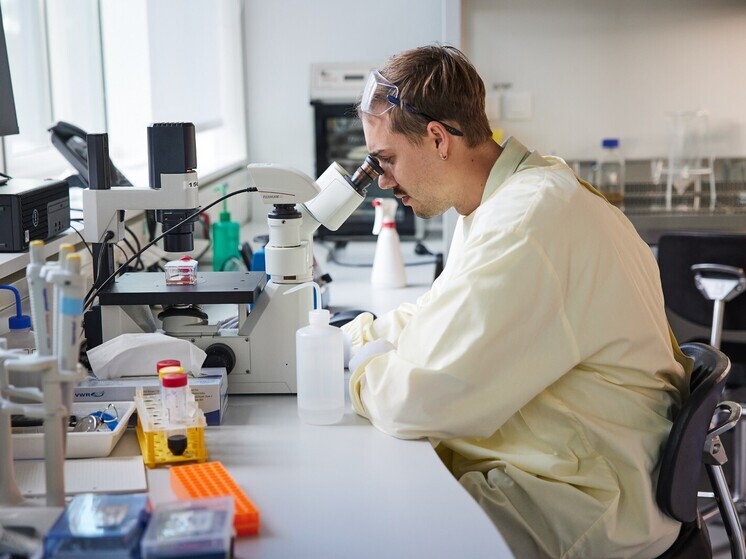 Южнокорейские учёные раскрыли ключевой механизм, позволяющий раку желудка развиваться