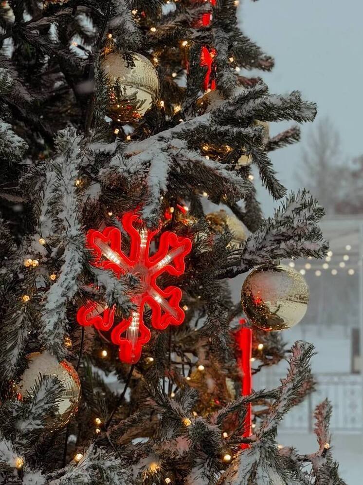 В Самаре на Новый год прогнозируют снег и мороз до -7 °C