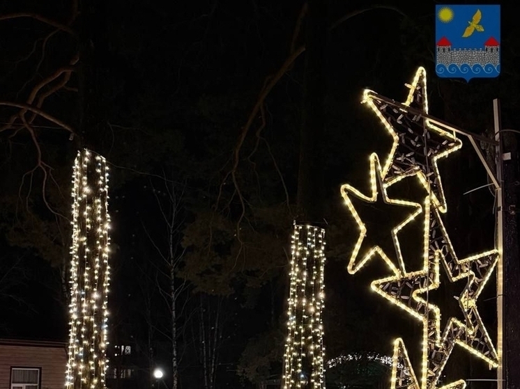 Деревню Вистино волшебно украсили к Новому году