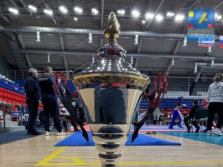 Кингисеппские кикбоксеры стали лучшими на Кубке Ленобласти