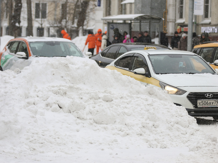 К Новому году сугробы в Москве вырастут до нормы в 19 сантиметров, прогнозирует Тишковец
