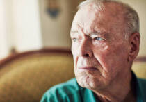 Журналистка Нора Винсент в 2006 году провела смелый восемнадцатимесячный эксперимент: она прожила полтора года в образе мужчины по имени Нед, чтобы изнутри изучить скрытый мир мужской идентичности. Её проект, описанный в книге «Самодельный мужчина», начинался как почти шутливое погружение в стиле классической журналистики, но очень быстро превратился в путешествие в сердцевину мужского страдания.