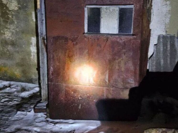 В Пензенской области мужчина замерз насмерть после ссоры с товарищем