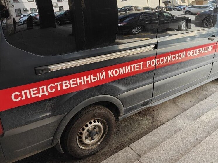 Жители Волховского района пожаловались главе СК на «убитую» дорогу в село Паша