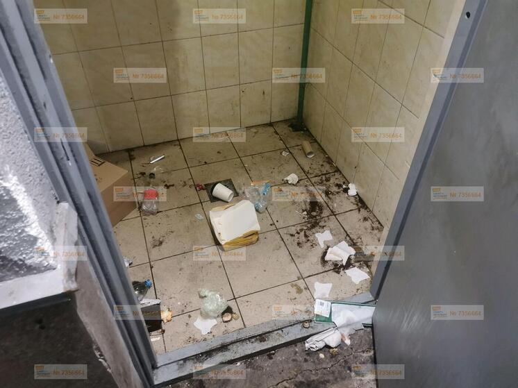 Петербуржцы обеспокоены возможным нашествием крыс и тараканов в доме на Королева