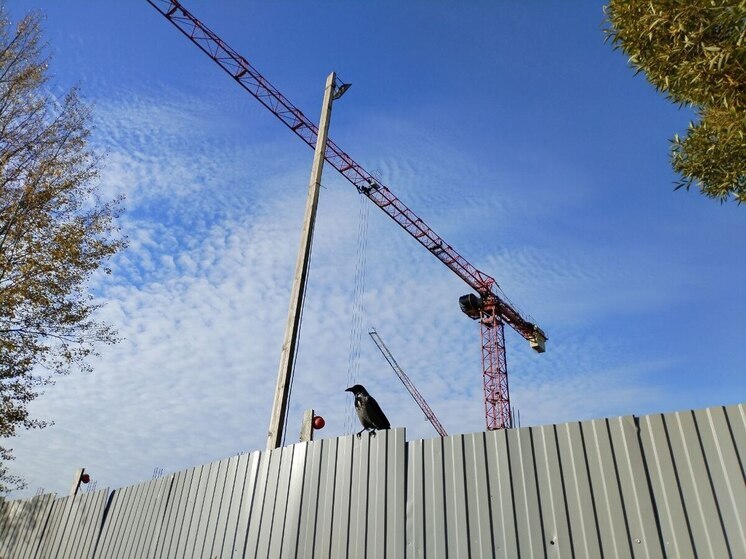 Заброшку в Советске обязали оградить забором