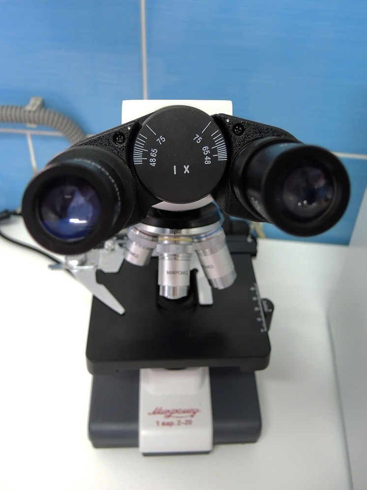 Scientific Reports: Найдена связь между ковырянием в носу и деменцией