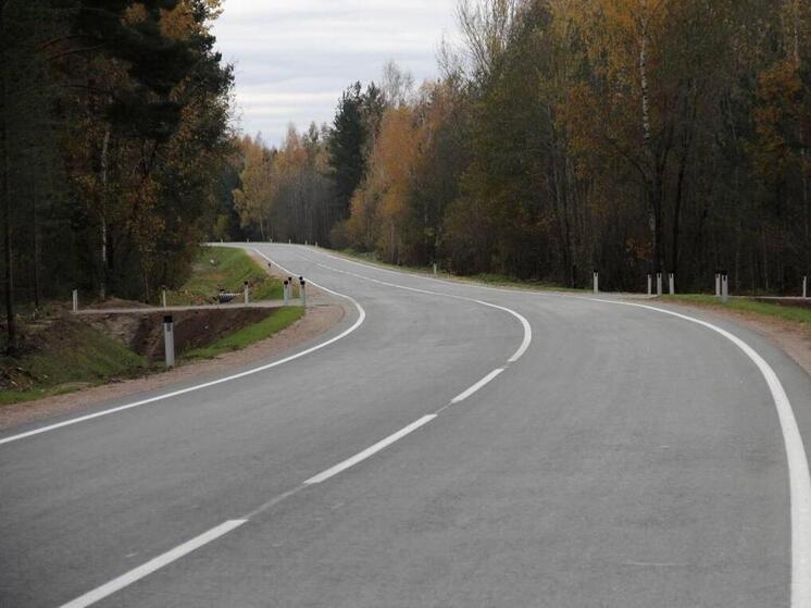Внимание водителям: будет действовать ограничение скорости на трассе Р-23 в Псковской области 29 декабря