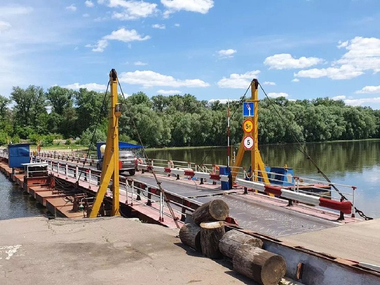 Определён подрядчик модернизации наплавного моста у Старой Хворостани