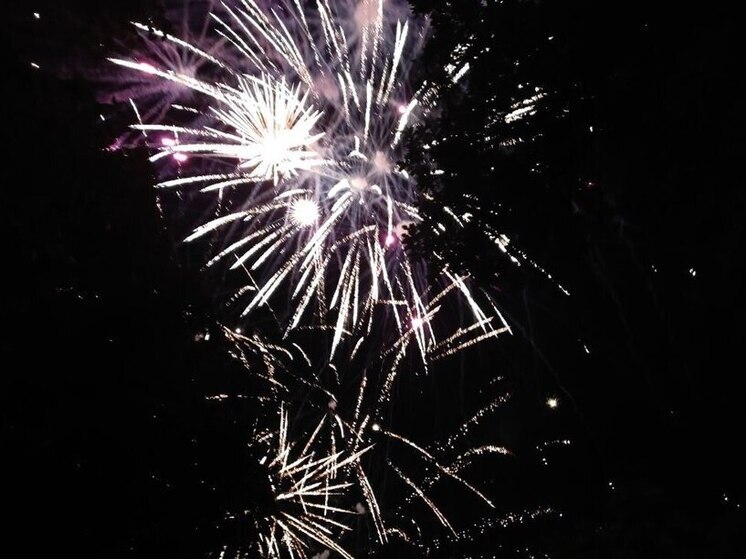 В Кронштадтском районе назвали место для безопасного запуска фейерверков