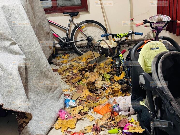 В одном из домов на Лермонтовском проспекте среди зимы начался осенний листопад