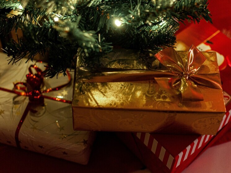 Гусев исполнил новогодние желания детей из Воронежской области