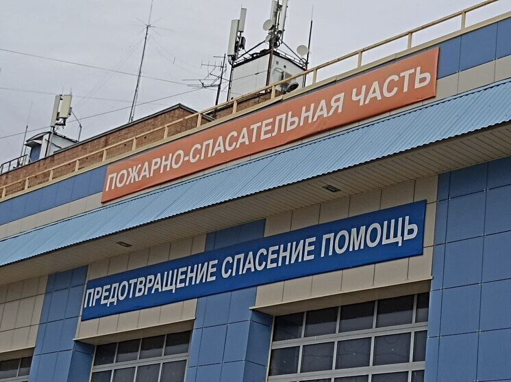 Детсадовцев Лужского района посвятили в юных пожарных и приняли в академию