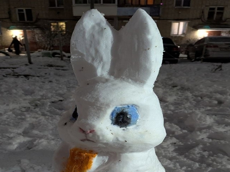 Ярославцы оценили зайца, появившегося на Перекопе