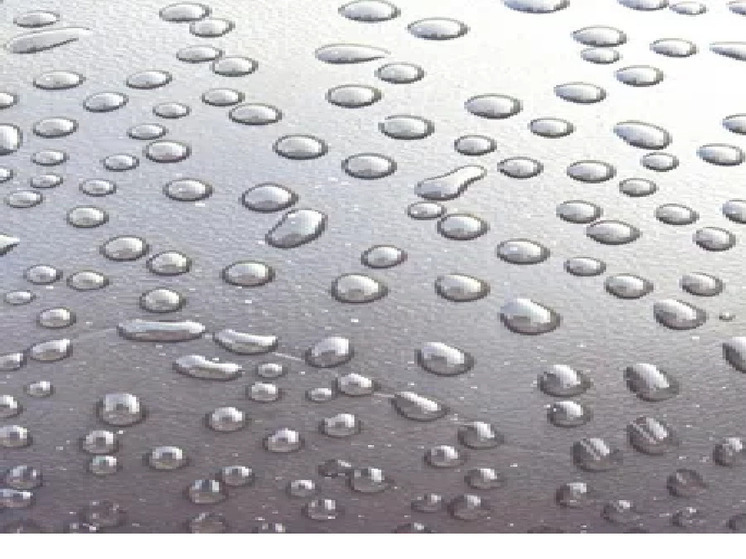 Мы ежедневно чему-то удивляемся