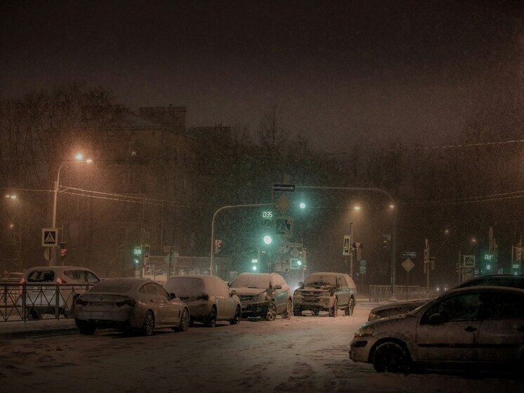 Конец декабря в Липецкой области пройдет со снегом и морозами