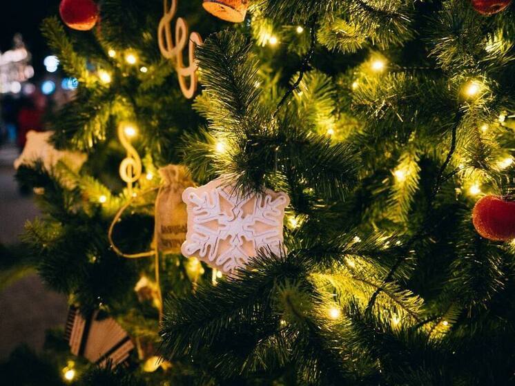 Жителям и гостям Ельца рассказали о символике главной городской ёлки