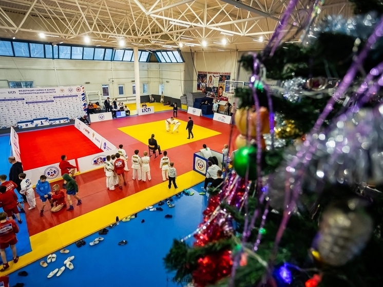 Самбисты и дзюдоисты собрались на Кубок Деда Мороза в Калининграде