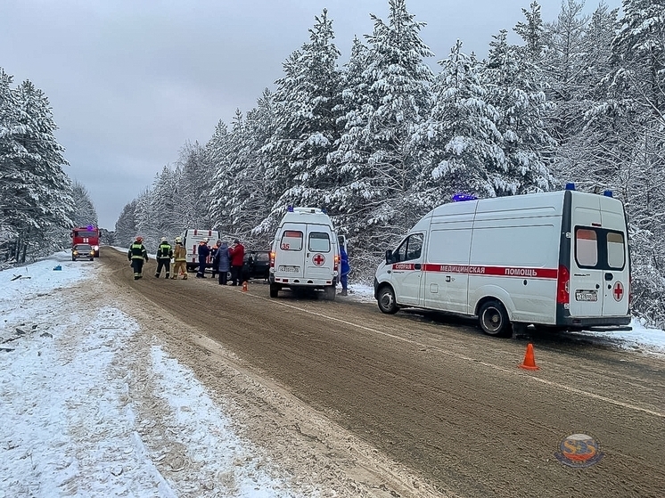 Появились подробности страшного ДТП с пострадавшими на владимирской трассе