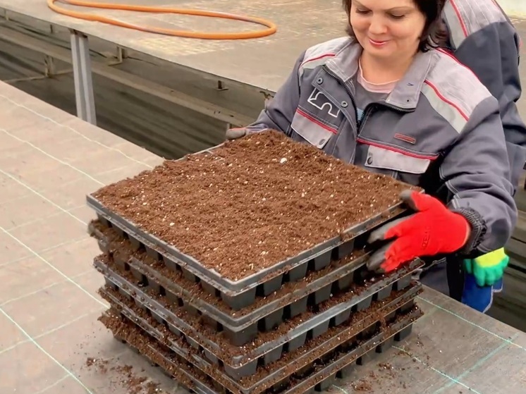 Во Владимире в теплицах уже наступила весна