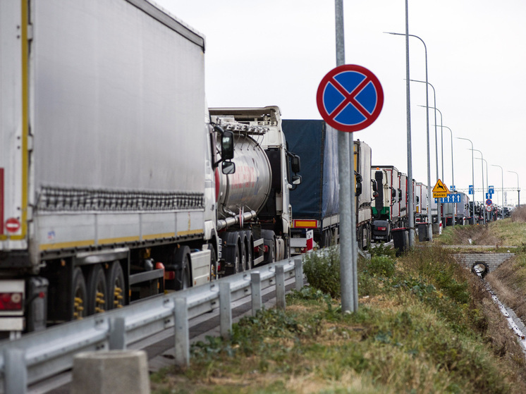 Эксперт Бондаренко считает что Польша боится бегства украинцев если рухнет фронт